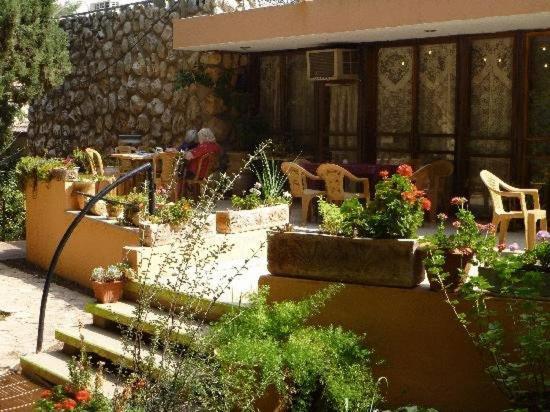 Safed Inn Exteriér fotografie