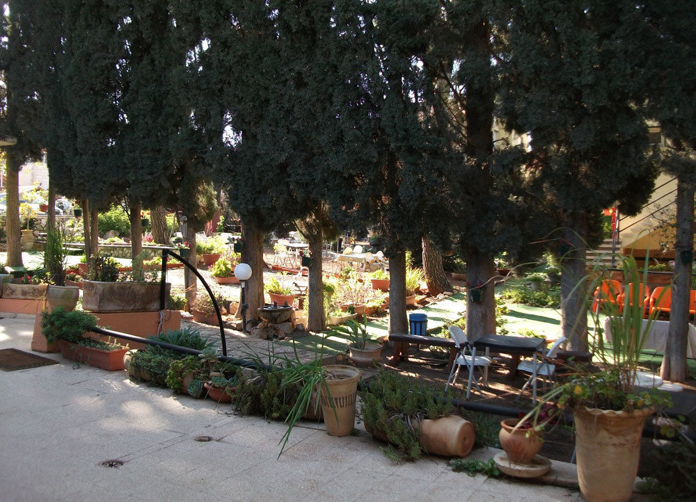 Safed Inn Exteriér fotografie