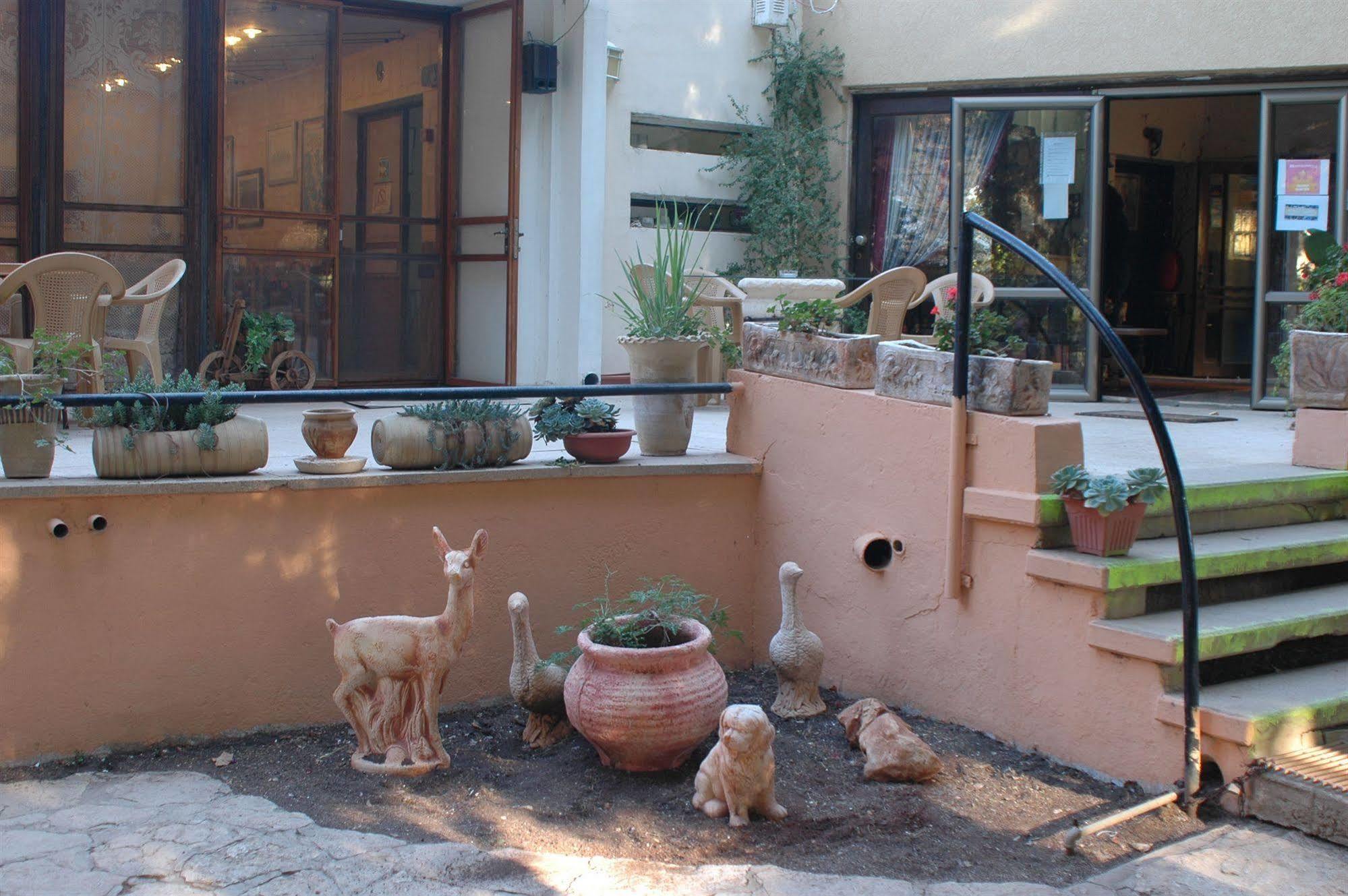 Safed Inn Exteriér fotografie
